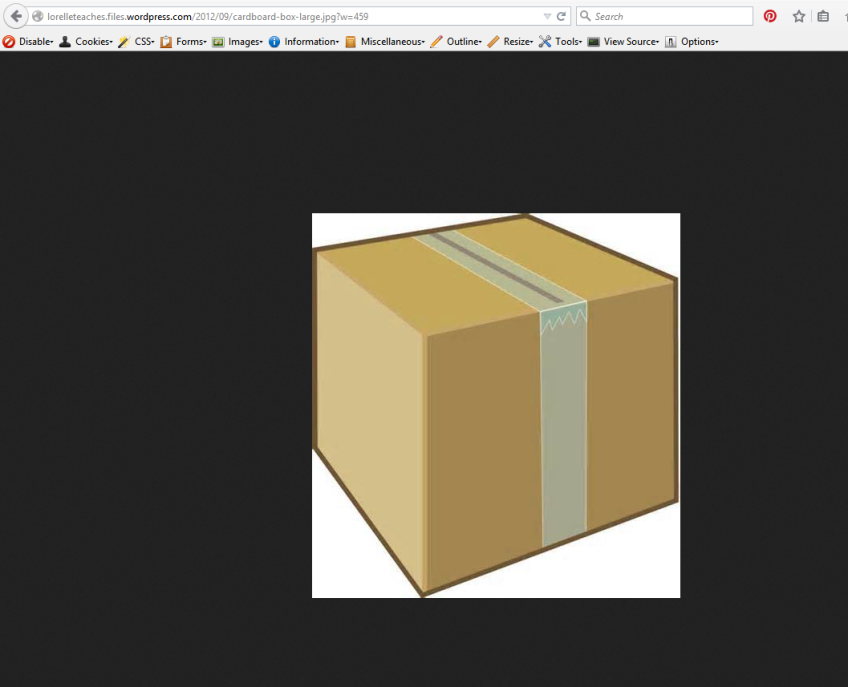 Image linked in WordPress as a media file - image of a box on a blank web page.